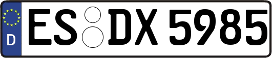 ES-DX5985
