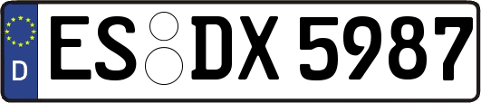 ES-DX5987
