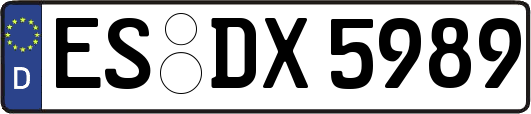 ES-DX5989