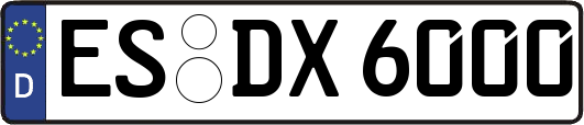 ES-DX6000
