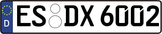 ES-DX6002