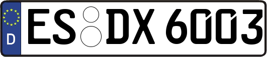 ES-DX6003