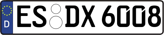 ES-DX6008