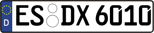 ES-DX6010