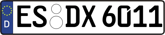 ES-DX6011