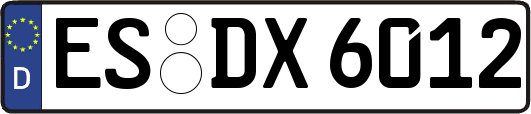 ES-DX6012