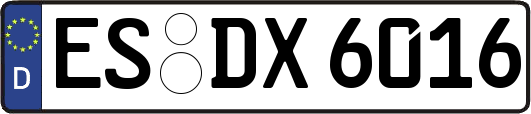 ES-DX6016