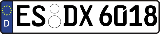 ES-DX6018