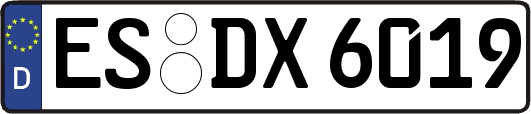 ES-DX6019
