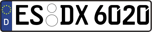 ES-DX6020
