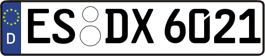 ES-DX6021