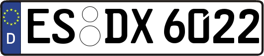 ES-DX6022