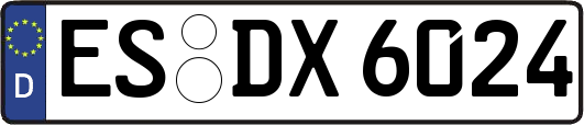ES-DX6024