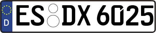 ES-DX6025
