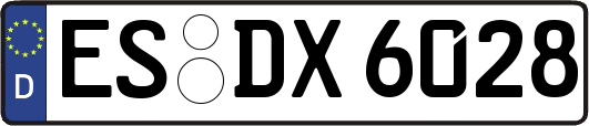 ES-DX6028