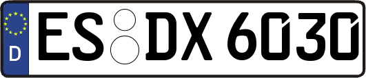 ES-DX6030