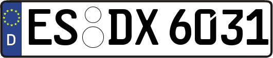ES-DX6031
