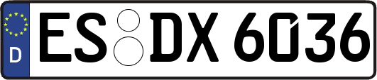 ES-DX6036
