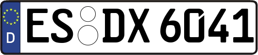 ES-DX6041