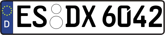 ES-DX6042