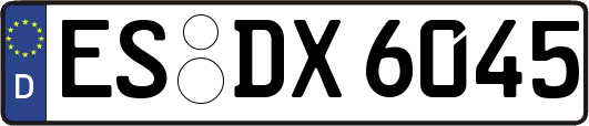 ES-DX6045