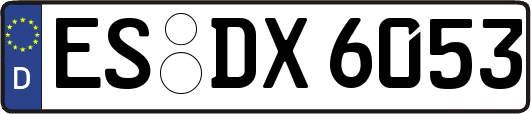 ES-DX6053