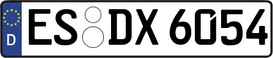 ES-DX6054