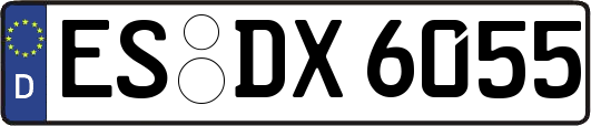 ES-DX6055