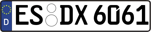 ES-DX6061