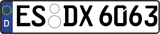 ES-DX6063