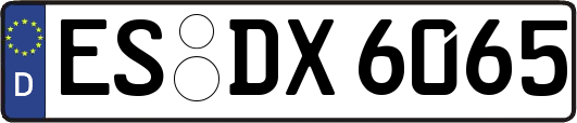 ES-DX6065