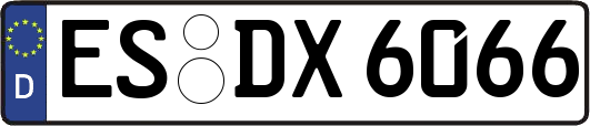 ES-DX6066