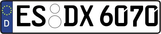 ES-DX6070