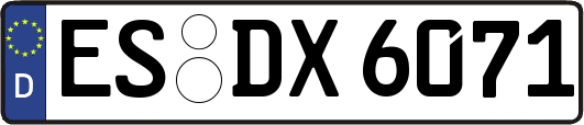 ES-DX6071