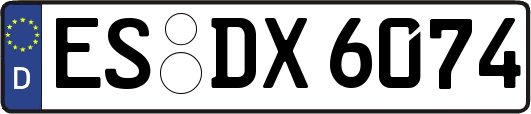 ES-DX6074