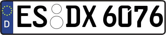 ES-DX6076