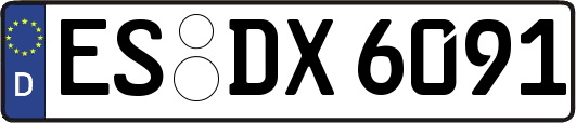 ES-DX6091