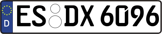 ES-DX6096