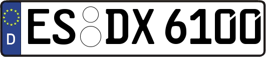 ES-DX6100