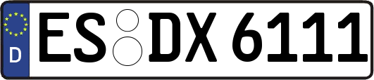ES-DX6111