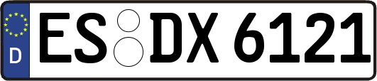 ES-DX6121