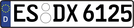 ES-DX6125