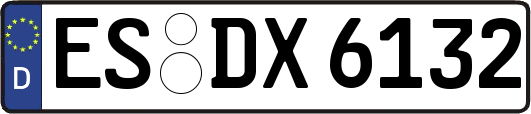 ES-DX6132