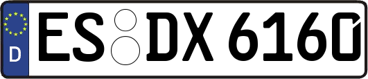 ES-DX6160