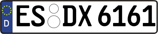 ES-DX6161