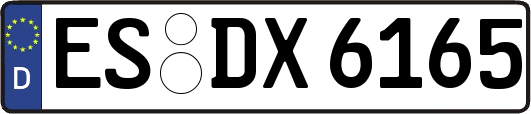 ES-DX6165