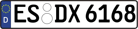 ES-DX6168