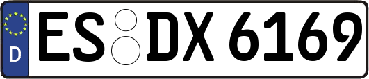 ES-DX6169