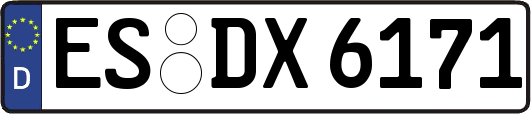 ES-DX6171