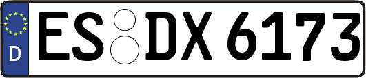 ES-DX6173